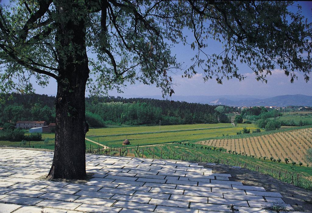 Agriturismo Le Due Querce Lazzeretto Bagian luar foto